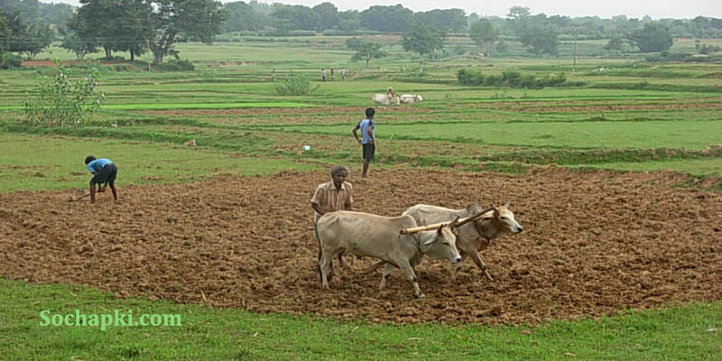 PM Kisan Samman Nidhi Yojana in Hindi