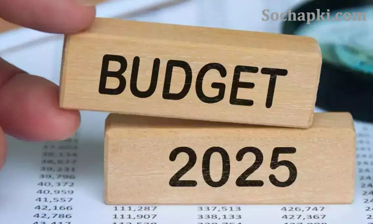 Income Tax Relief Budget 2025 in India