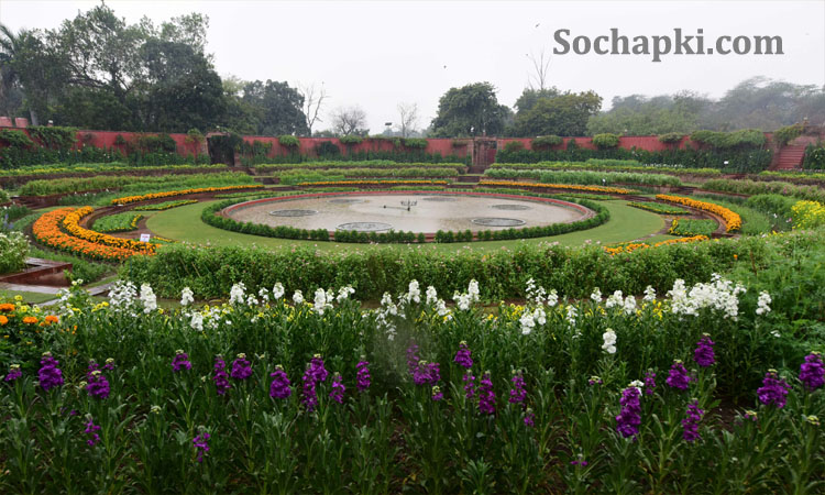 Amrit Udyan Rashtrapati Bhavan Delhi